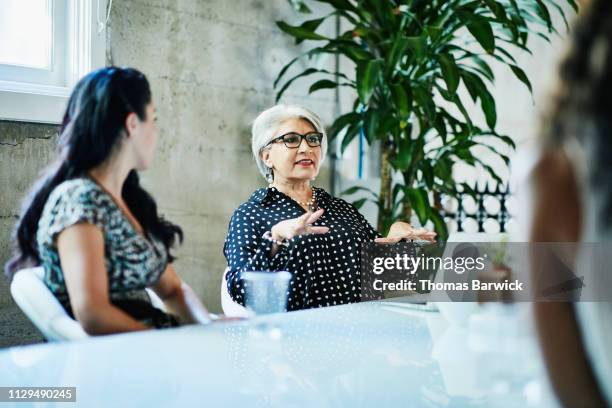 mature female business owner leading team discussion during project meeting in conference room - wisdom knowledge modern stockfoto's en -beelden