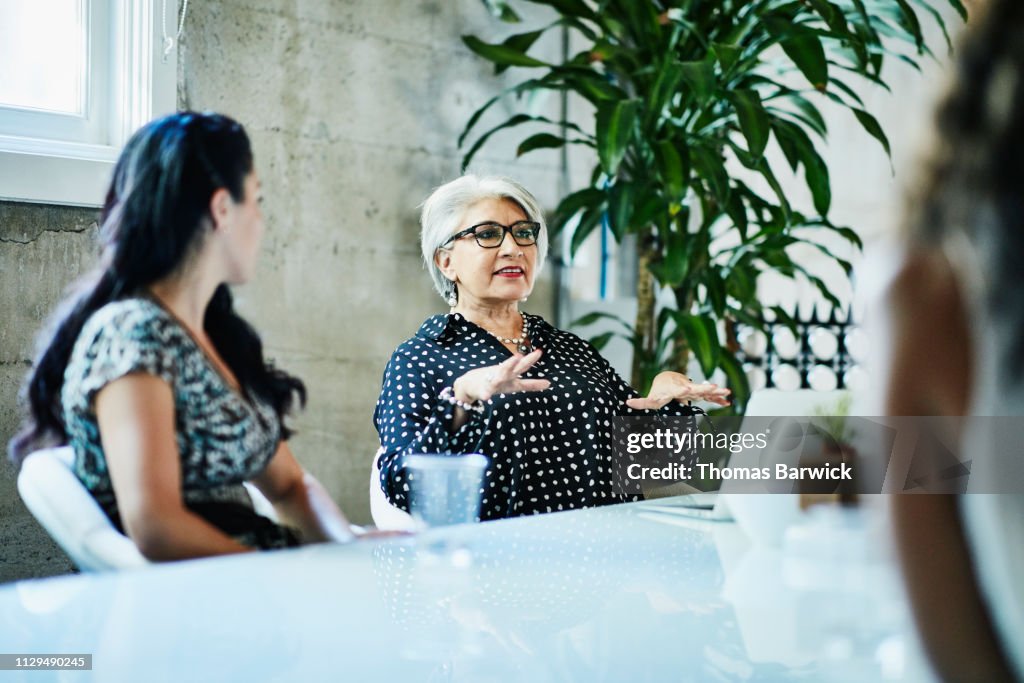 Mature female business owner leading team discussion during project meeting in conference room