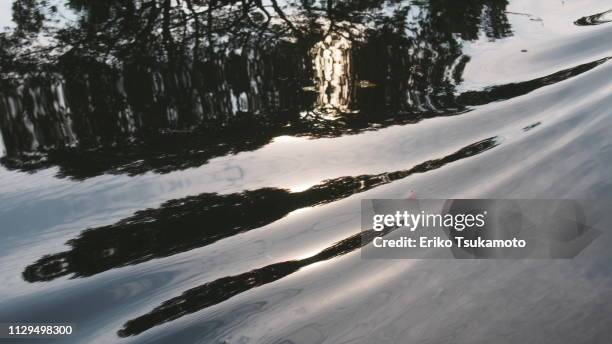 yanagawa river - 古い 個照片及圖片檔