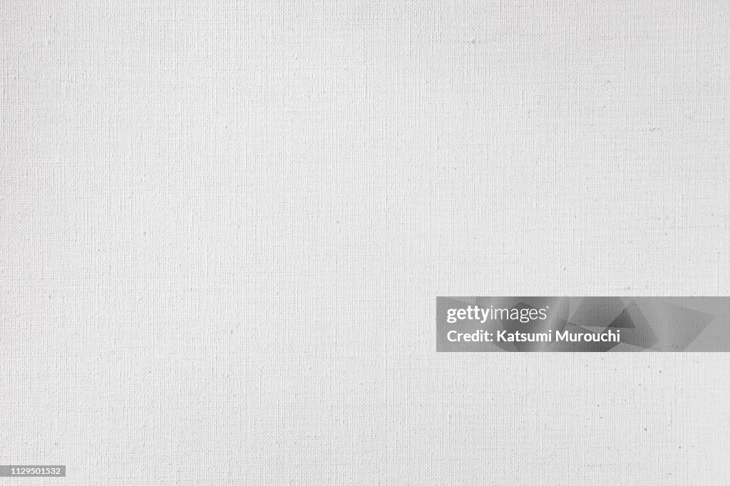 Canvas texture background