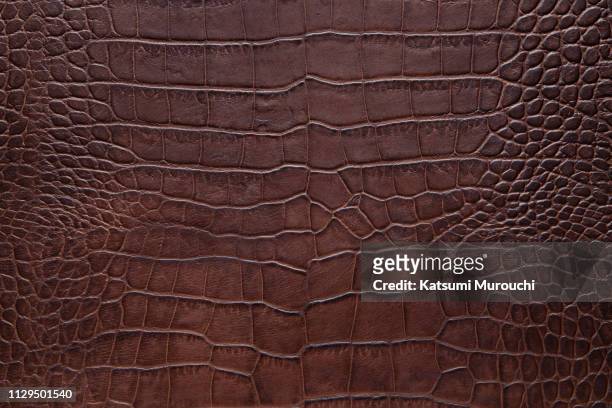 leather texture background - crocodile leather stock pictures, royalty-free photos & images