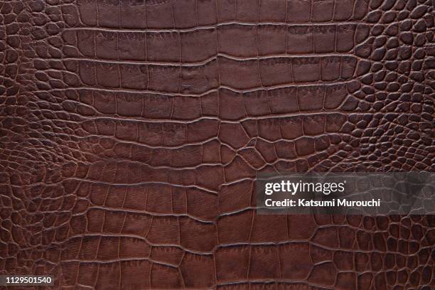 leather texture background - krokodilmönster bildbanksfoton och bilder
