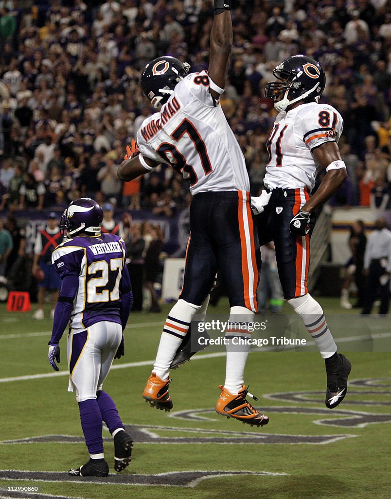 Chicago Bears wide receiver Rashied Davis (81) celebrates in