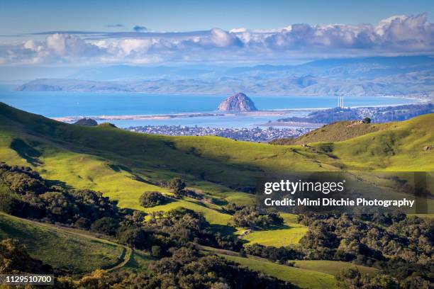 view of morro bay from a country road - san luis obispo stock pictures, royalty-free photos & images