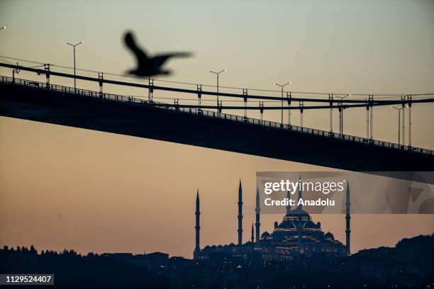 Seagull flies as the Camlica Mosque and July 15 Martyrs' Bridge are seen behind during the sunrise in Istanbul, Turkey on March 10, 2019.