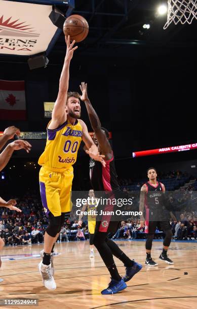 Spencer Hawes of the South Bay Lakers goes to the basket during the game against the Agua Caliente Clippers of Ontario on March 9, 2019 at Citizens...