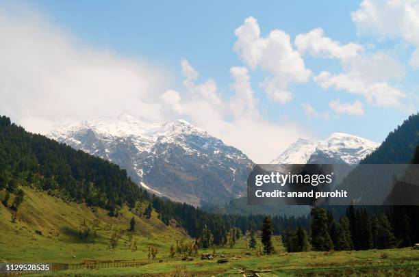 aru valley, pahalgam, jammu & kashmir, india - pahalgam stock pictures, royalty-free photos & images