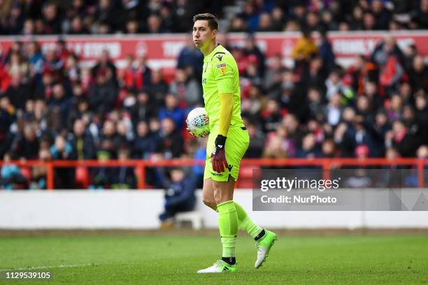 Costel Pantilimon of Nottingham Forest during the Sky Bet Championship match between Nottingham Forest and Hull City at the City Ground, Nottingham...