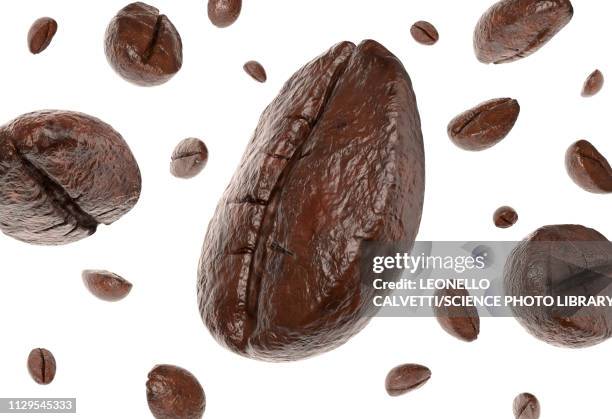 stockillustraties, clipart, cartoons en iconen met group of coffee beans falling, illustration - geroosterde koffieboon