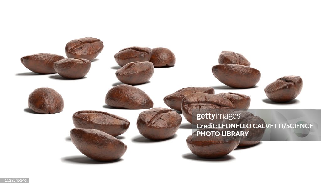 Group of coffee beans on white surface, illustration