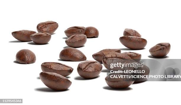 ilustrações de stock, clip art, desenhos animados e ícones de group of coffee beans on white surface, illustration - grão de café tostado