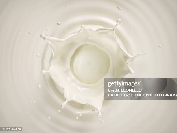 stockillustraties, clipart, cartoons en iconen met milk crown splash, illustration - cream splash