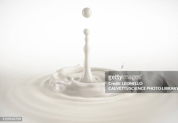 one single milk drop splashing with ripples, illustration - dripping milk stock illustrations