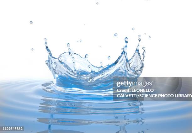 Royal Splashes Graphics Crown Splash In Water With Ripples Illustration High-Res Vector Graphic ...