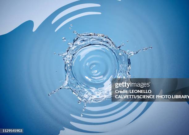 stockillustraties, clipart, cartoons en iconen met crown splash in water with ripples, illustration - above