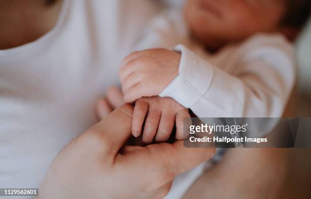 a midsection of a mother holding a newborn baby son at home. a close-up. - unrecognizable person stock pictures, royalty-free photos & images