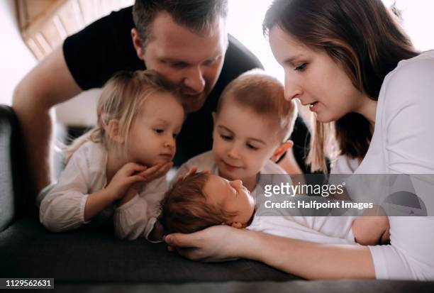 a portrait of young family with two toddler children and a newborn baby at home. - baby arrival stock pictures, royalty-free photos & images