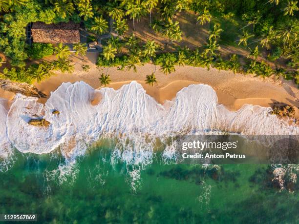 sandy beach at sunset. sri lanka, aerial view - sri lanka imagens e fotografias de stock