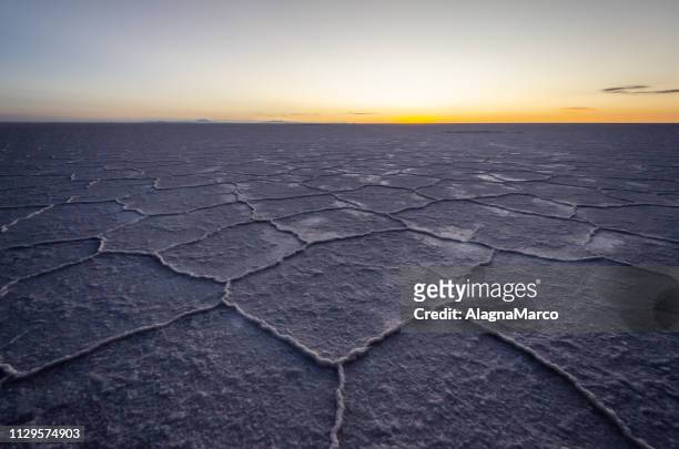 uyuni salt flat - terreno accidentato 個照片及圖片檔