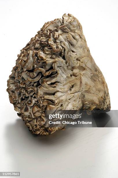 Common in Japan where it is known as maitake, the Hen of the Woods mushroom is not well known in the States.