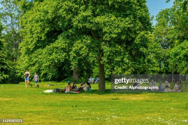 a family group on hampstead heath - hampstead heath picnic stock pictures, royalty-free photos & images