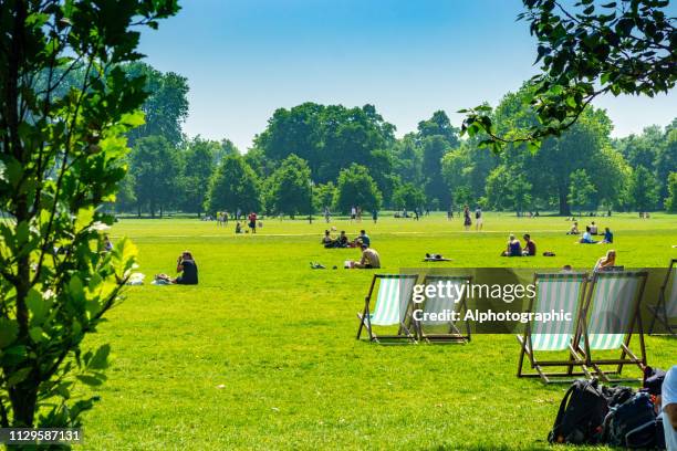 sedie a sdraio su hampstead heath - hyde park westminster foto e immagini stock