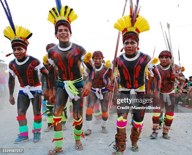 happy people dancing spectacular indigenous amazonian dances from brazil. - tocantins stock pictures, royalty-free photos & images