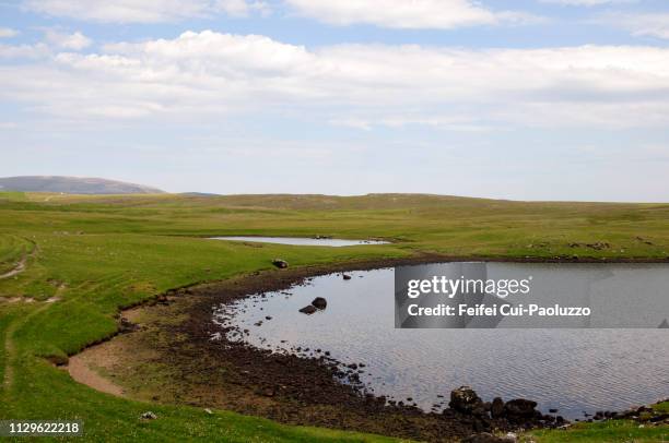 landscape of eshaness, northmavine, shetland - eshaness stock pictures, royalty-free photos & images