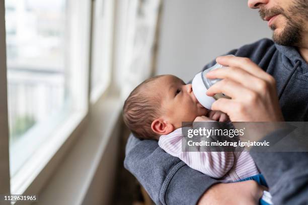 papà che nutre il neonato - baby bottle foto e immagini stock