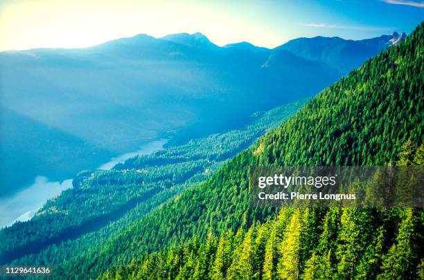 capilano valley, capilano lake and the lions mountain, north vancouver - vancouver canada 2019 stock pictures, royalty-free photos & images