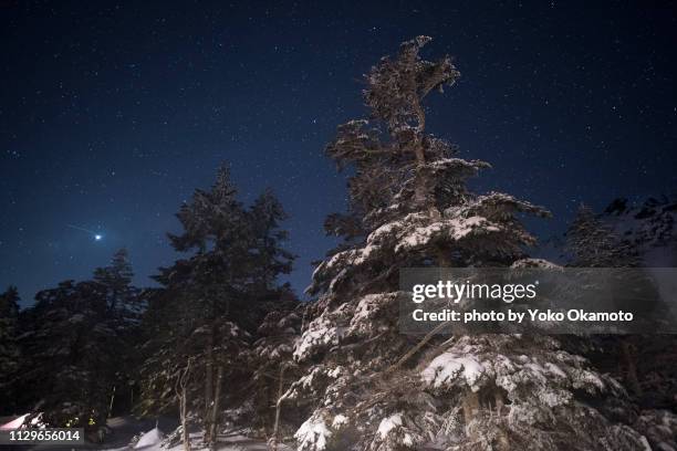 sky full of stars seen at yatsugatake - 一月 stockfoto's en -beelden