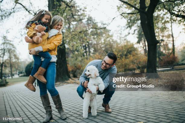 happy family - miniature poodle stock pictures, royalty-free photos & images