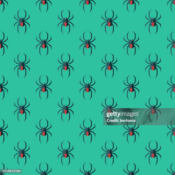 redback spider australia seamless pattern - redback spider stock illustrations