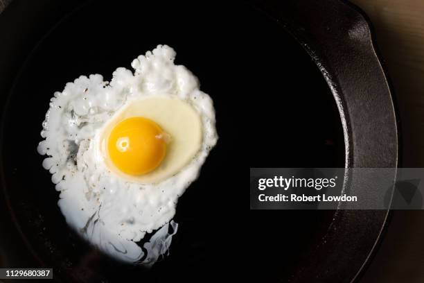 egg cooks in skillet - frying pan from above stock pictures, royalty-free photos & images