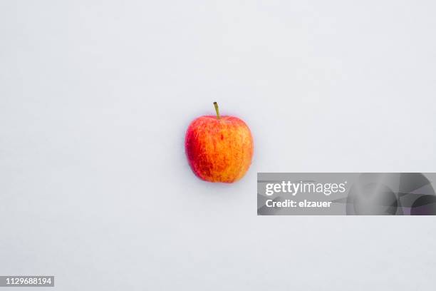 still life picture - an apple placed on the snow. - frozen apple fotografías e imágenes de stock