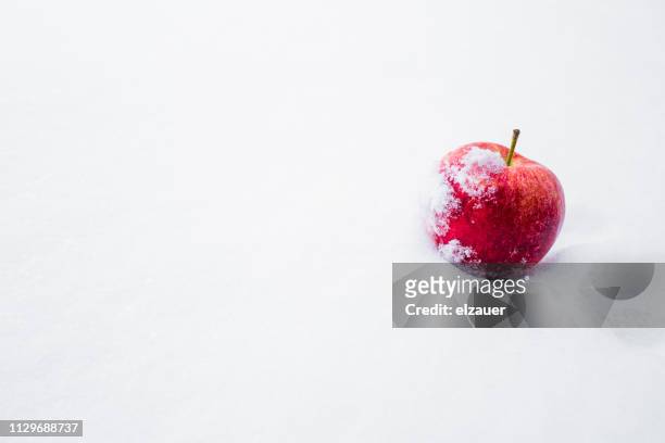 still life picture - an apple placed on the snow. - frozen apple fotografías e imágenes de stock