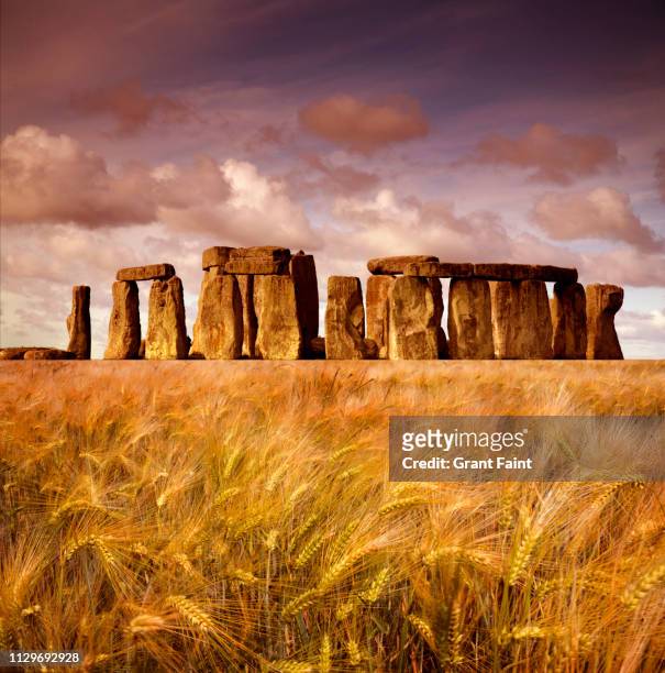 stone henge - stonehenge stockfoto's en -beelden