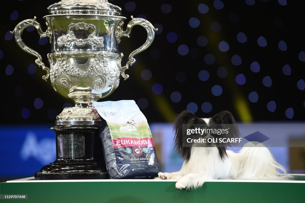 BRITAIN-ANIMAL-DOG-CRUFTS