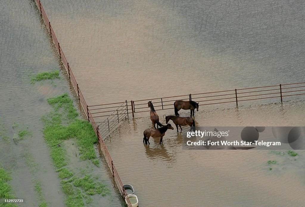 Horses stand in a flooded pasture near Lake Granbury as heav