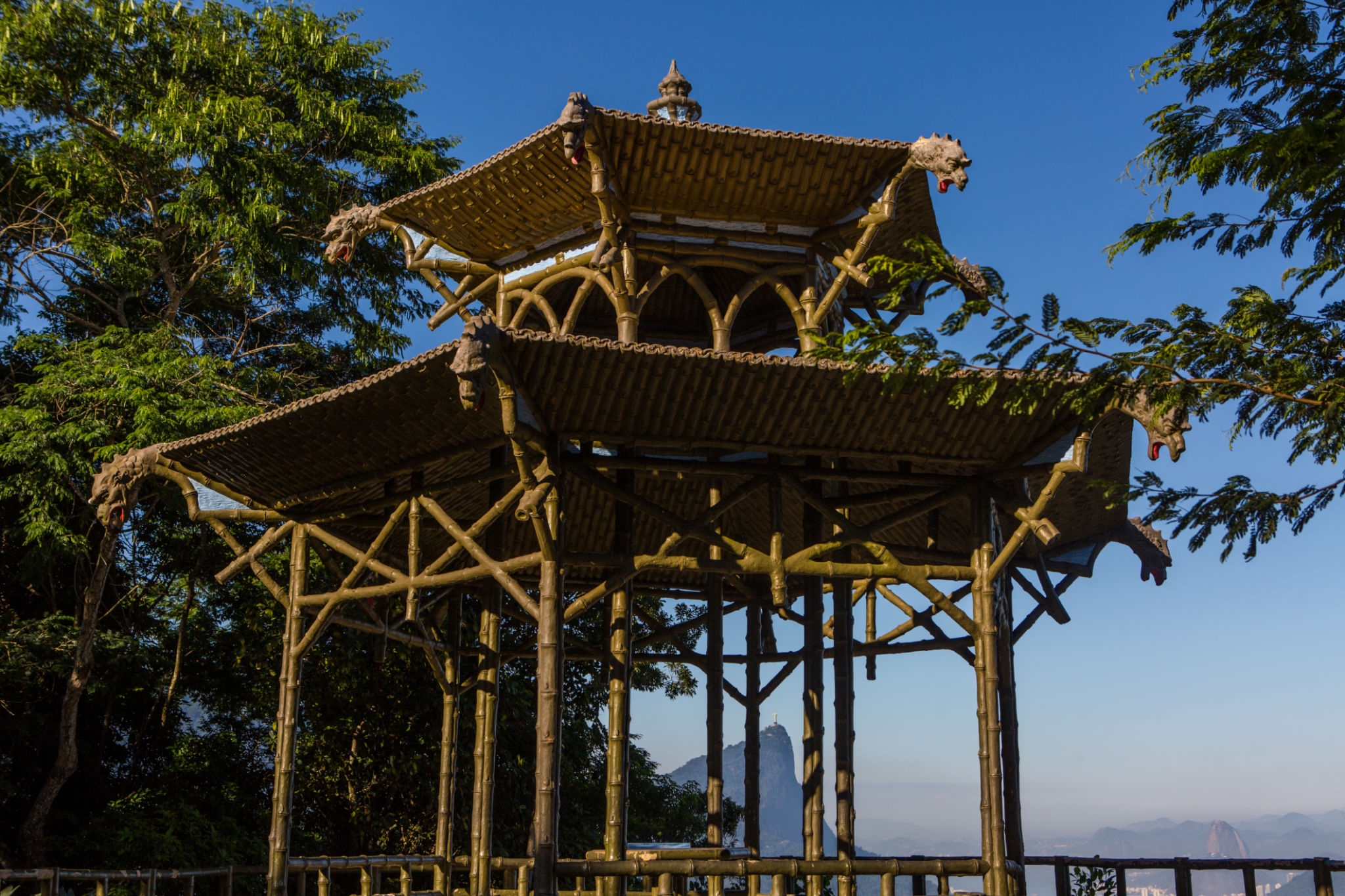 tijuca rainforest