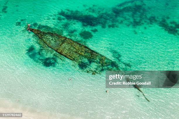 people snorkeling around a shipwreck - coogee beach bildbanksfoton och bilder