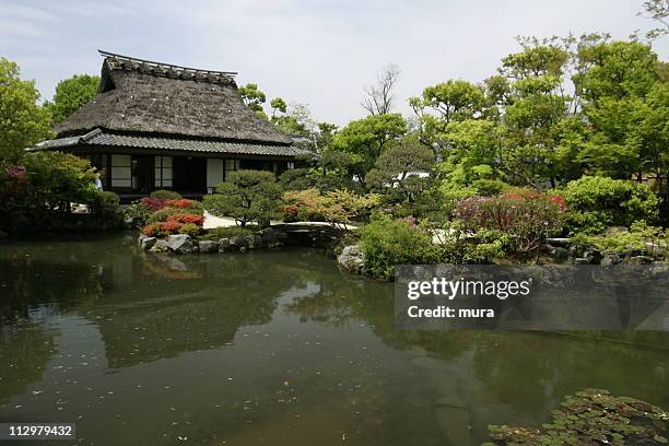 jardim japonês - nara - fotografias e filmes do acervo