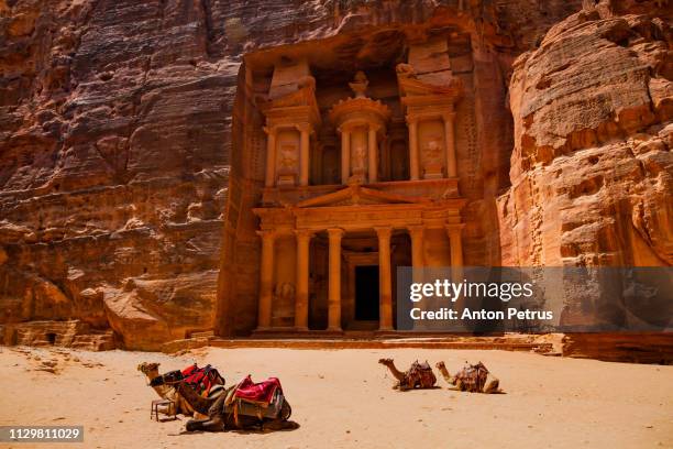 al khazneh - the treasury, ancient city of petra, jordan - petra jordan stockfoto's en -beelden