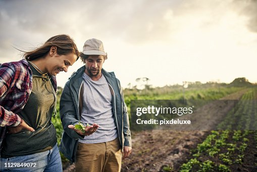 Organic farming, it’s about quality not quantity Organic farming, it’s about quality not quantity