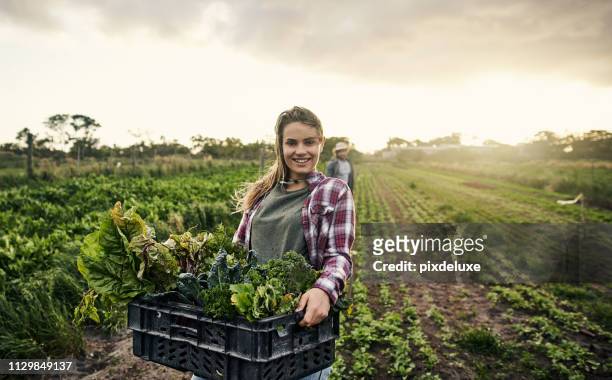 don’t forget to support your local organic farmer - crate stock pictures, royalty-free photos & images
