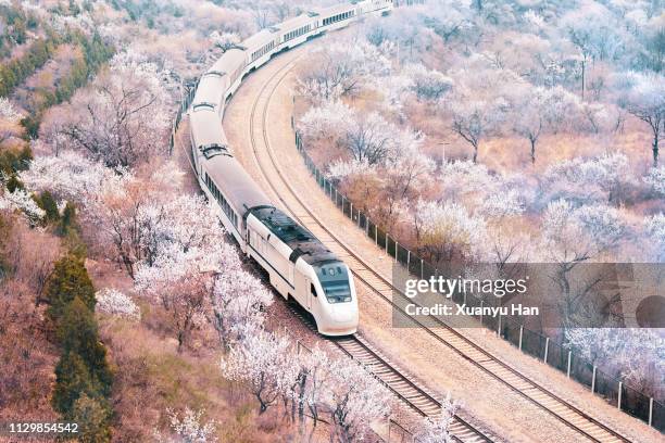 train passing through the spring landscape - hogesnelheidstrein stockfoto's en -beelden