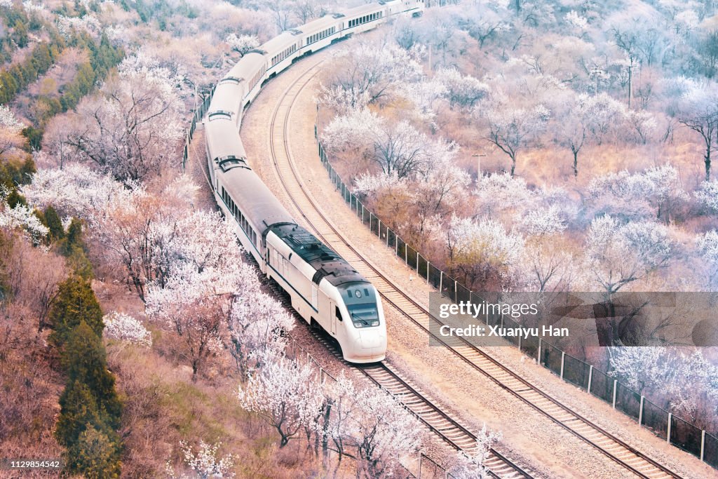 Train passing through the spring landscape