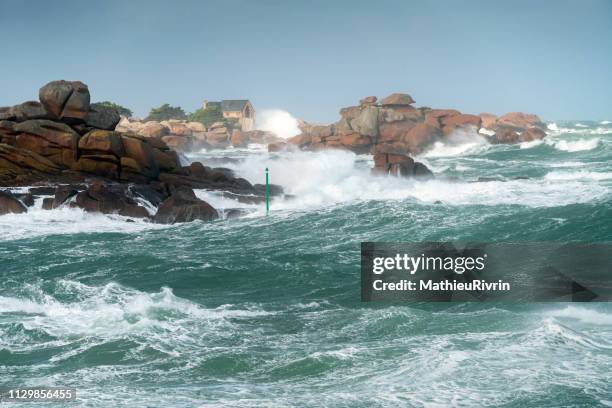 storm in sentier des douaniers and the "cote de granite rose" - lumière vive stock pictures, royalty-free photos & images