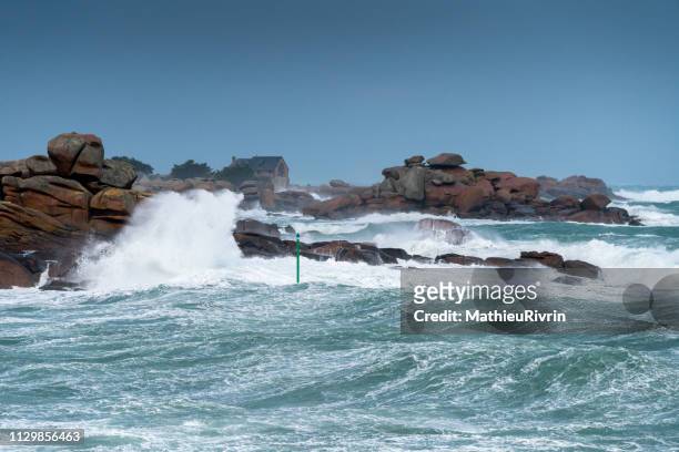 storm in ploumanach and the "cote de granite rose" - lumière vive stock pictures, royalty-free photos & images