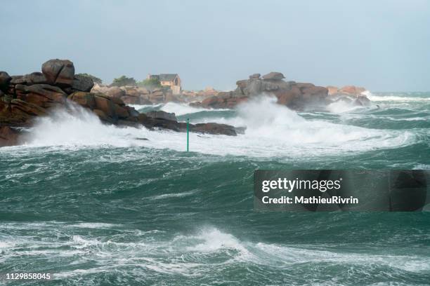 storm in ploumanach and the "cote de granite rose" - lumière vive stock pictures, royalty-free photos & images